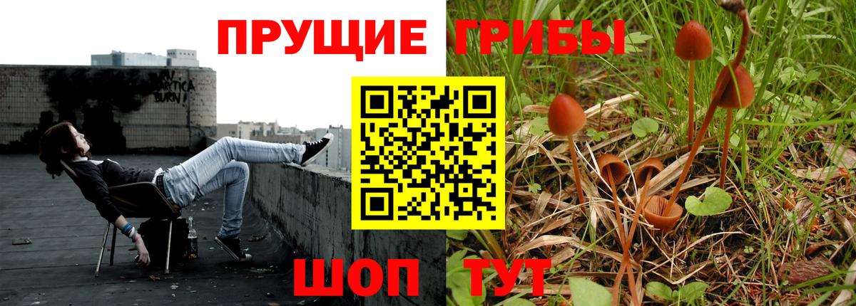 Псилоцибиновые грибы ЛСД Заводоуковск