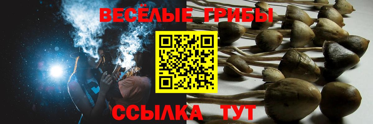 Заводоуковск  Галлюциногенные грибы Psilocybe  даркнет сайт  Вход с VPN 